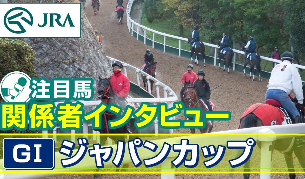 【注目馬 関係者インタビュー】2025年 ジャパンカップ｜JRA公式
