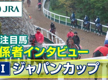 【注目馬 関係者インタビュー】2025年 ジャパンカップ｜JRA公式