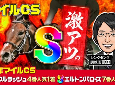 【マイルCS 2025 予想】今年もS評価が2頭いる！昨年ワンツーの再現もあるぞ！
