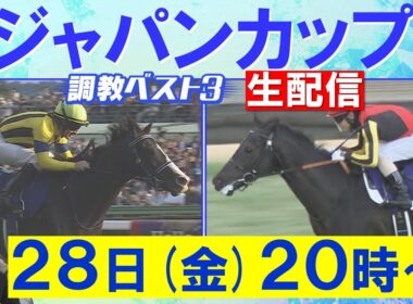 【生配信】マスカレードボール、ダノンデサイル、クロワデュノール、カランダガン…まさに頂上決戦！競馬エイト・高橋賢司トラックマンの調教”生”解説＜ジャパンカップ(ＧⅠ)＞
