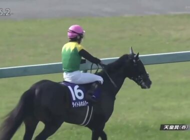 2022年 天皇賞(春)(タイトルホルダー、横山和生)