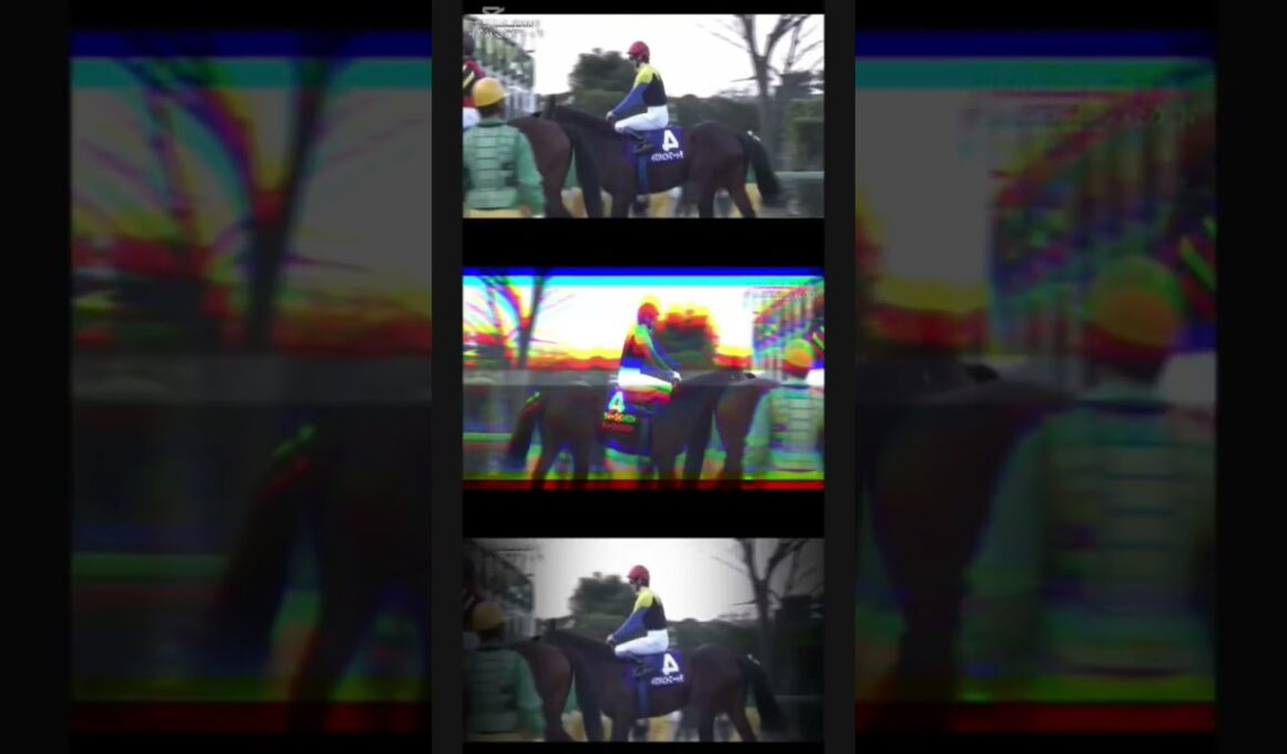 ＃有馬記念　＃ラストラン　＃ファンファーレ　＃玉置浩二　＃オグリキャップ　＃トウカイテイオー　＃シンボリクリスエス　＃ディープインパクト　＃本編あります　