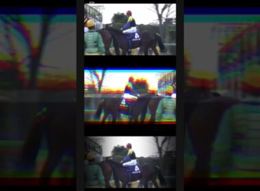 ＃有馬記念　＃ラストラン　＃ファンファーレ　＃玉置浩二　＃オグリキャップ　＃トウカイテイオー　＃シンボリクリスエス　＃ディープインパクト　＃本編あります　