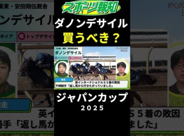 【ジャパンカップ2025】ダノンデサイルは買うべき？取捨ポイントを競馬記者が解説