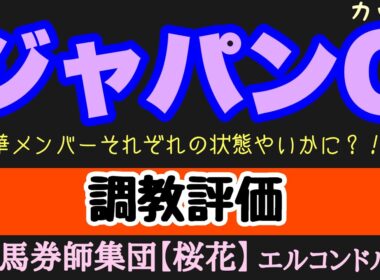 エルコンドル氏のジャパンカップ2025調教評価！！3頭のダービー馬に天皇賞秋制したマスカレードボールの状態は？！海外の刺客カランダガンの状態が最も気になるところ！