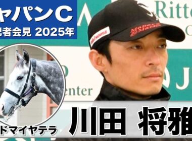 【ジャパンC2025】アドマイヤテラ・川田将雅騎手「（前走より）もっと良くなってきた」「重賞馬に相応しい背中も出せるようになってきた」《JRA共同会見》