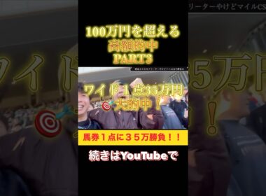 マイルcsの馬券１点に３５万円ぶっ込んだらとんでもないことなった！！！
