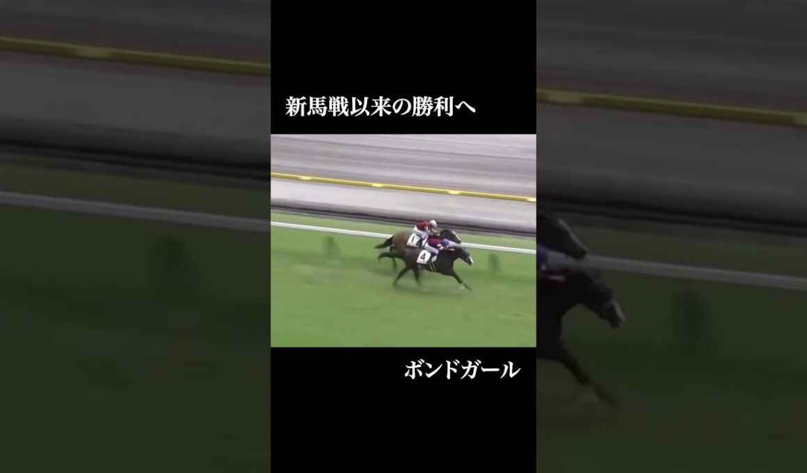 【予告】ヴィクトリアマイル2025  #競馬 #ヴィクトリアマイル #アルジーヌ #クイーンズウォーク #ボンドガール #ステレンボッシュ #アスコリピチェーノ