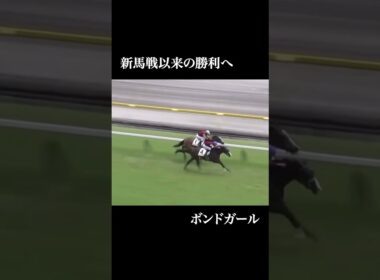 【予告】ヴィクトリアマイル2025  #競馬 #ヴィクトリアマイル #アルジーヌ #クイーンズウォーク #ボンドガール #ステレンボッシュ #アスコリピチェーノ