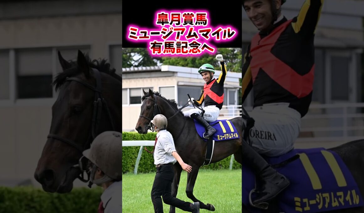 皐月賞馬ミュージアムマイル、有馬記念へ【競馬反応集】#有馬記念　#ミュージアムマイル　#Cデムーロ
