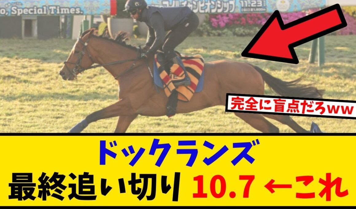 【マイルCS】「ドックランズ 最終追切10.7←これ」に対するみんなの反応【反応集】