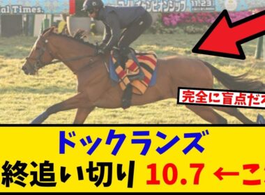 【マイルCS】「ドックランズ 最終追切10.7←これ」に対するみんなの反応【反応集】