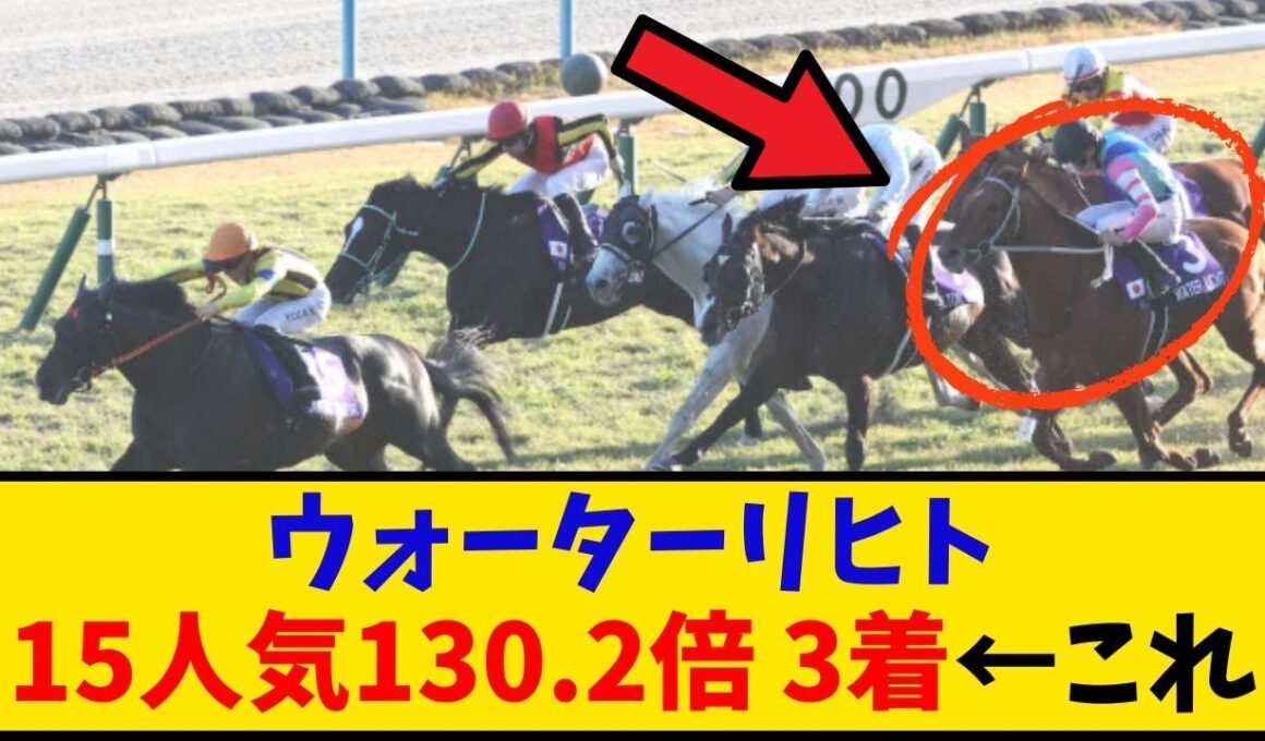【マイルCS】「ウォーターリヒト 15番人気130.2倍 3着って…これ取れた奴いる？？」に対するみんなの反応【反応集】