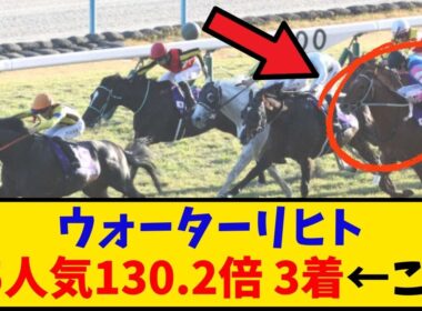 【マイルCS】「ウォーターリヒト 15番人気130.2倍 3着って…これ取れた奴いる？？」に対するみんなの反応【反応集】