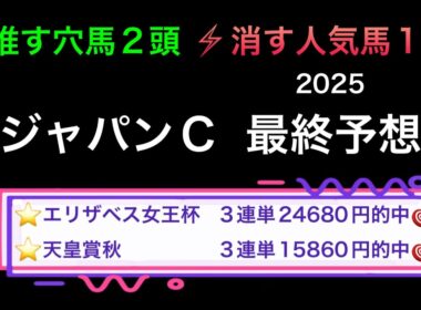【競馬予想】　ジャパンカップ　2025  最終予想