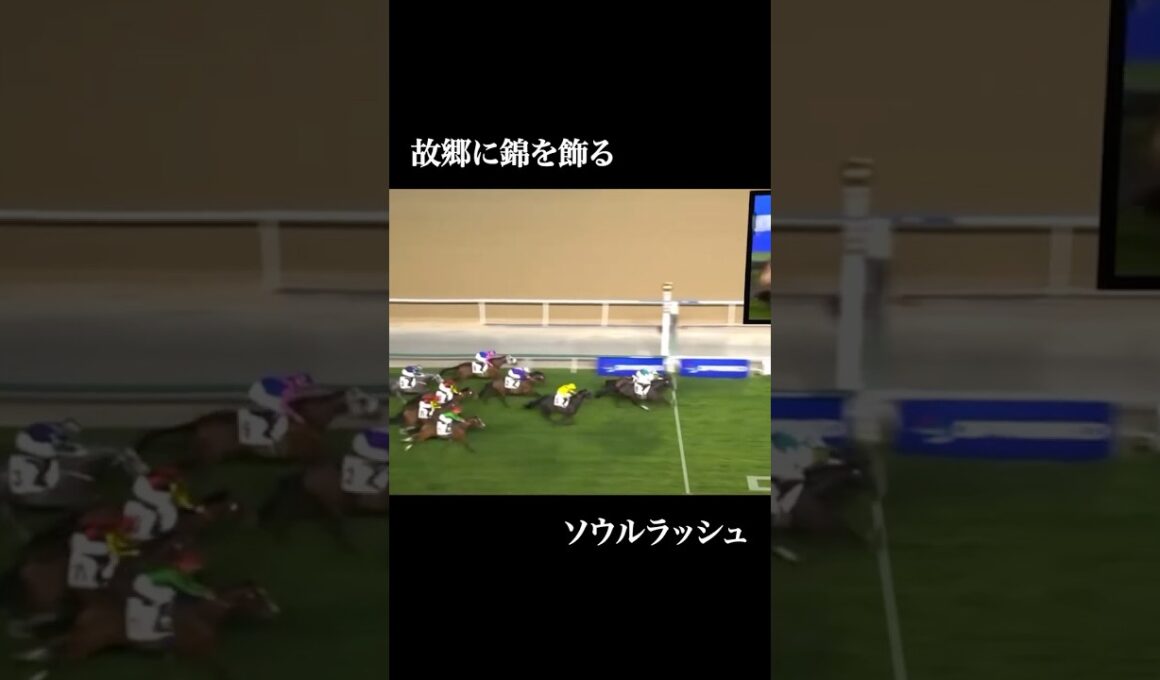 【予告】安田記念2025  #競馬 #安田記念 #ウォーターリヒト #トロヴァトーレ #シックスペンス #ジャンタルマンタル #ソウルラッシュ