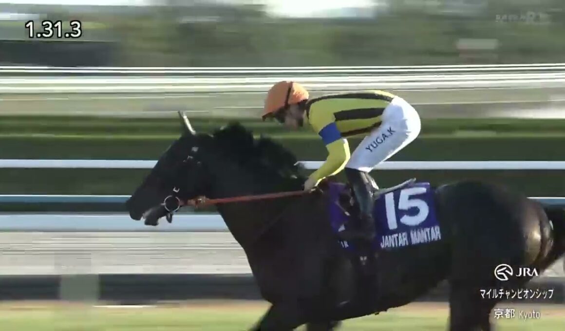 2025年マイルチャンピオンシップ　 ジャンタルマンタル