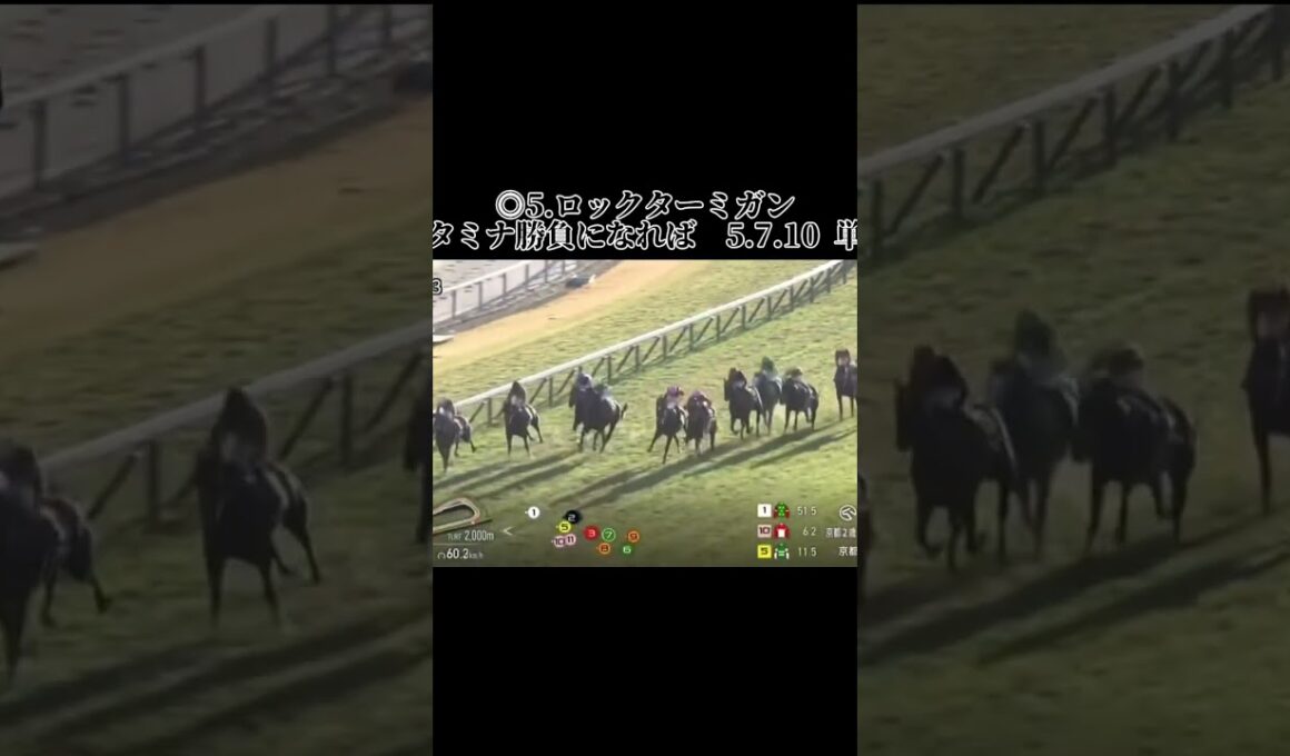京都2歳ステークスの結果はさあホープフルにも一発か #競馬 #競馬予想 #競馬結果 #中央競馬 #中央競馬予想 #京都競馬 #京都競馬場 #京都競馬予想 #京都2歳ステークス