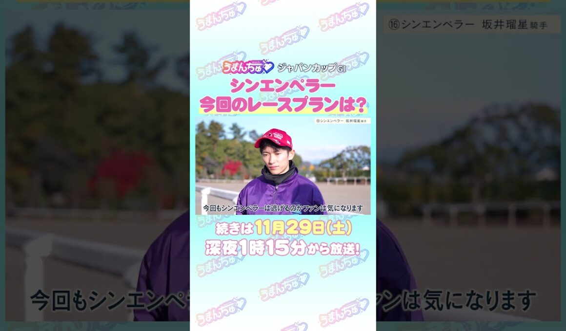 ジャパンカップ GⅠ　トレセン直撃取材！　#競馬 #ジャパンカップ   #シンエンペラー    #坂井瑠星    騎手