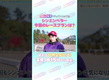 ジャパンカップ GⅠ　トレセン直撃取材！　#競馬 #ジャパンカップ   #シンエンペラー    #坂井瑠星    騎手
