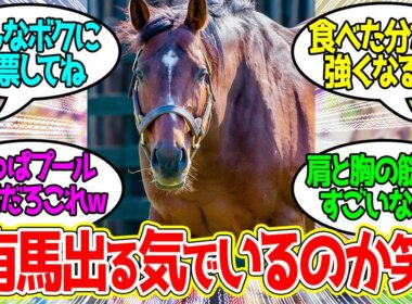 おどう、この体は有馬記念参戦か…？に対するみんなの反応！【競馬 の反応集】