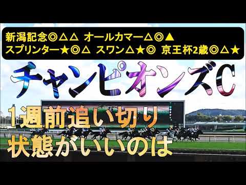 チャンピオンズカップ2025　1週前追い切り　前走からの上積みが大きそう