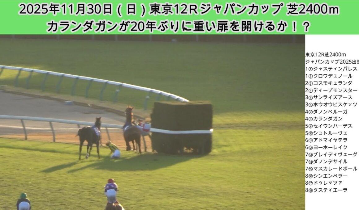 ジャパンカップ2025現地レース映像！外国馬カランダガンのレースぶりからマスカレードボール鞍上ルメール騎手とダノンデサイル鞍上戸崎圭太騎手が落馬まで撮影！