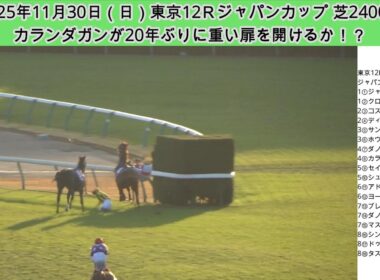 ジャパンカップ2025現地レース映像！外国馬カランダガンのレースぶりからマスカレードボール鞍上ルメール騎手とダノンデサイル鞍上戸崎圭太騎手が落馬まで撮影！