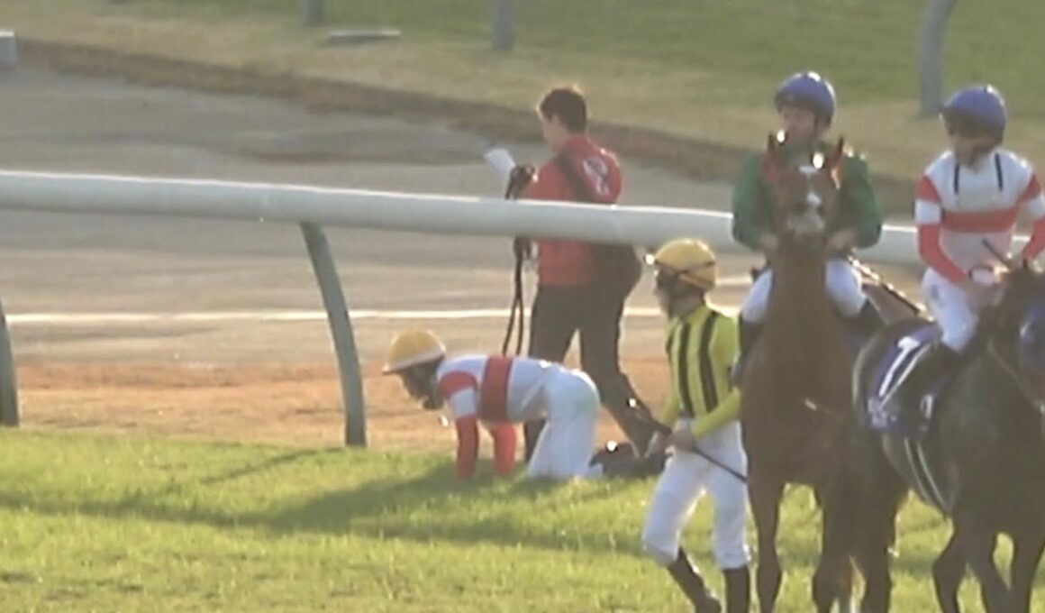 【現地】2025 G1 ジャパンカップ カランダガン M.バルザローナ  マスカレードボールとの激しい叩き合い 【生ファンファーレ 東京競馬場世界レコード】