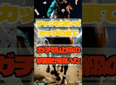 チャンピオンズカップの裏で“ガチ禁止級”の情報が動いた #競馬 #中京競馬 #チャンピオンズC  #重賞予想 #競馬予想 #無料予想 #競馬好き #馬券 #馬券生活 #競馬情報 #競馬ファン