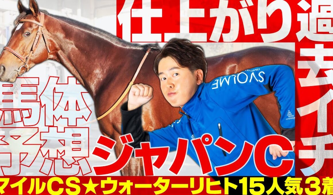 【ジャパンカップ 2025】マイルCS特注馬★ウォーターリヒト15番人気3着！古馬になってから最高の仕上がりで挑むこの馬で勝負！【競馬予想】