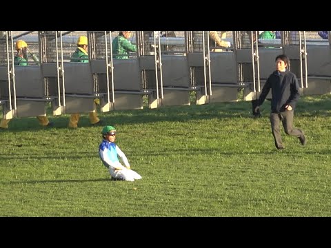 【ジャパンカップ2025】カランダガン 2.20.3のレコードで世界最強の証明！Calandagan【現地レース映像】