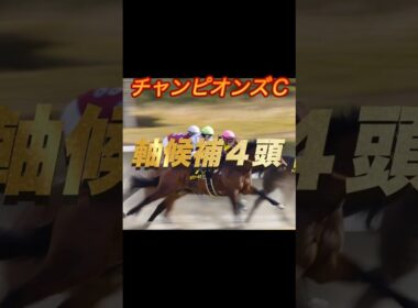 チャンピオンズカップ2025 軸候補4頭紹介