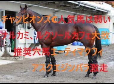 チャンピオンズカップ人気馬は弱い　ナルカミ、ルクソールカフェ大敗のシナリオ　推奨穴馬エーティマクフィ、アスクエジンバラ激走