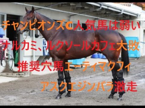 チャンピオンズカップ人気馬は弱い　ナルカミ、ルクソールカフェ大敗のシナリオ　推奨穴馬エーティマクフィ、アスクエジンバラ激走