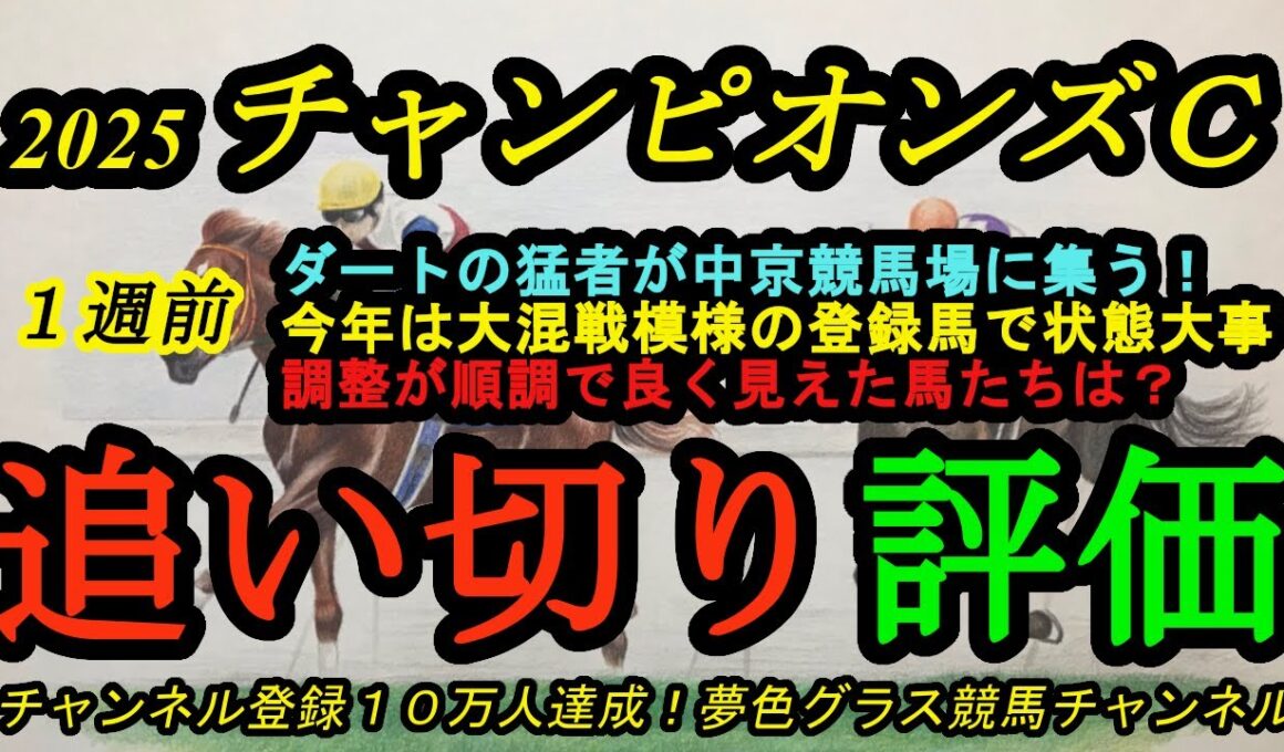 【1週前追い切り評価】2025チャンピオンズカップ！注目のナルカミの動きは！？強力メンバー揃った1戦に！