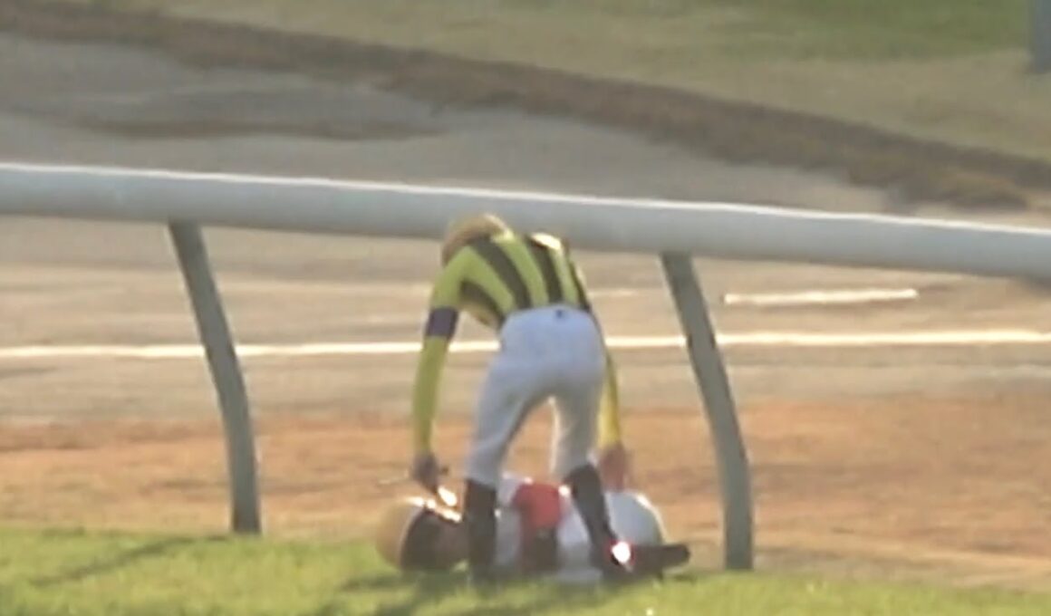 【現地】ジャパンカップゴール後、落馬した後に戸崎騎手の心配をしに行くルメール騎手