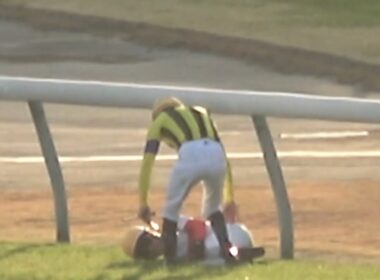 【現地】ジャパンカップゴール後、落馬した後に戸崎騎手の心配をしに行くルメール騎手