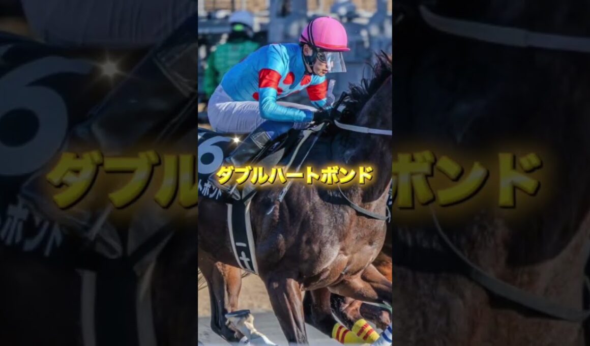 G1チャンピオンズカップの注目馬を3頭紹介＃競馬＃競馬予想＃ナルカミ＃ダブルハートボンド＃ルクソールカフェ