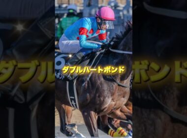G1チャンピオンズカップの注目馬を3頭紹介＃競馬＃競馬予想＃ナルカミ＃ダブルハートボンド＃ルクソールカフェ