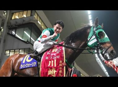 2011年中山グランドジャンプ覇者マイネルネオス死す…22歳　柴田大知騎手に初のビッグタイトルをもたらす