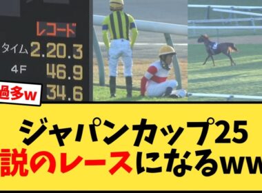ジャパンカップ、落馬、海外馬勝利大逃げ、レコード←これww【競馬反応集】
