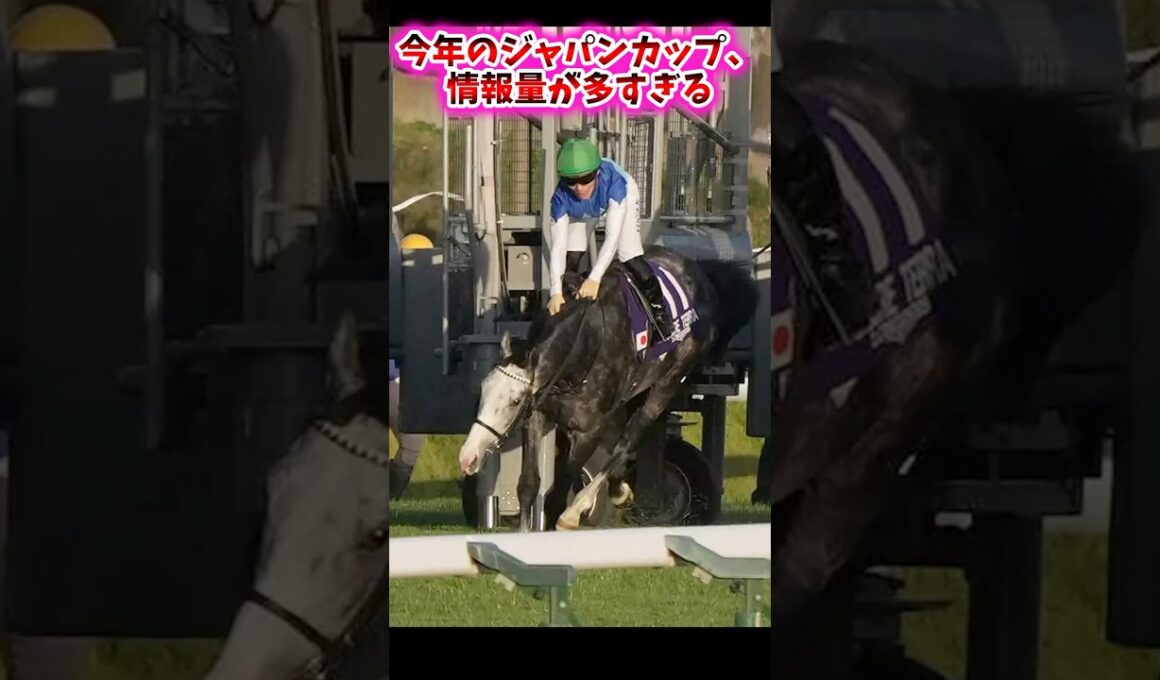 今年のジャパンカップ、情報量が多すぎる【競馬反応集】 #ジャパンカップ #カランダガン #マスカレードボール #ダノンデサイル #アドマイヤテラ