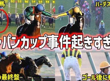 【ジャパンカップ2025】制したのはカランダガン！20年ぶり海外馬Vの激戦を振り返る！