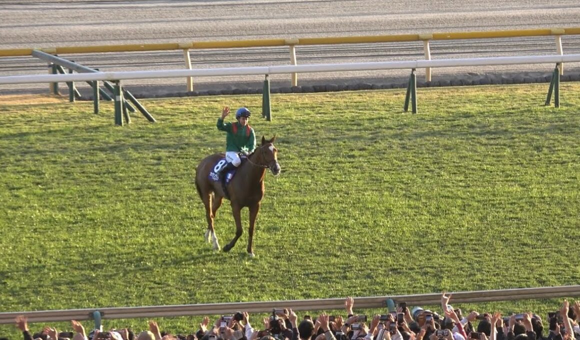 【ジャパンカップ2025】慣れない日本式ウイニングランに驚く？カランダガンとバルザローナ【現地】