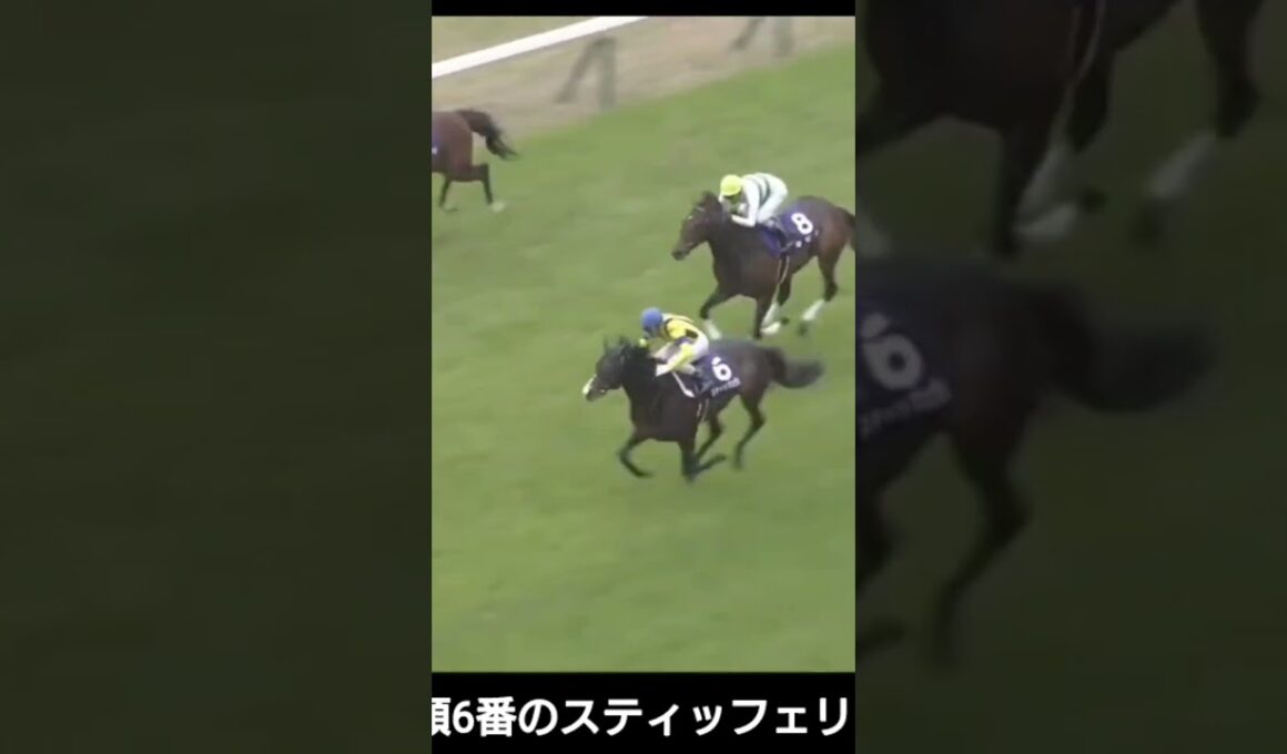 【🐎2020年】天皇賞（春）【フィエールマン/C.ルメール】