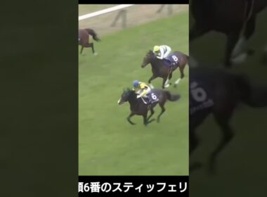 【🐎2020年】天皇賞（春）【フィエールマン/C.ルメール】