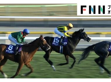 【ジャパンカップ・GⅠ】これが世界No.1ホースの実力！カランダガンが衝撃的タイムで外国馬20年ぶり制覇！