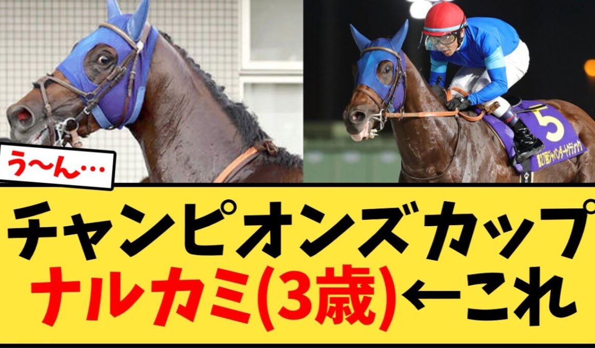 【チャンピオンズC】チャンピオンズカップ、ナルカミ3歳馬←これ【競馬反応集】