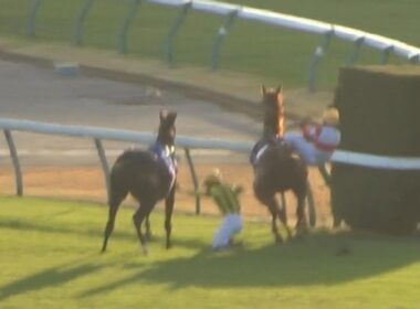 危ない！ジャパンカップ2025レース入線後にマスカレードボールとダノンデサイルがぶつかり戸崎騎手とルメール騎手が落馬！